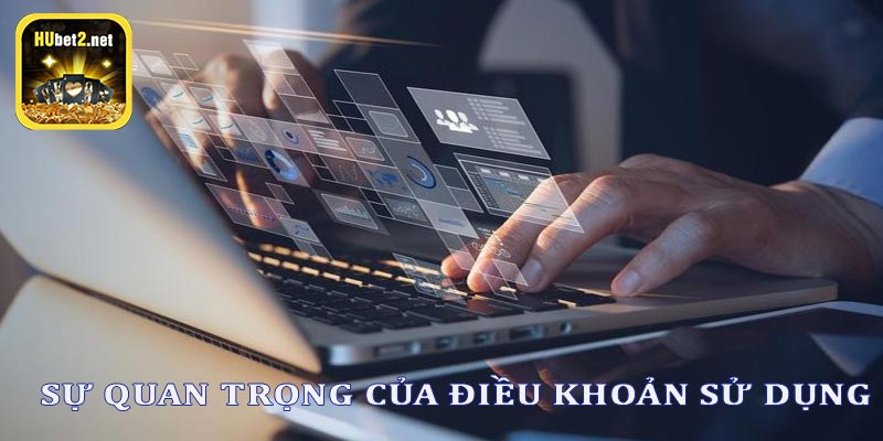 Tại sao điều khoản sử dụng trong cá cược lại quan trọng?