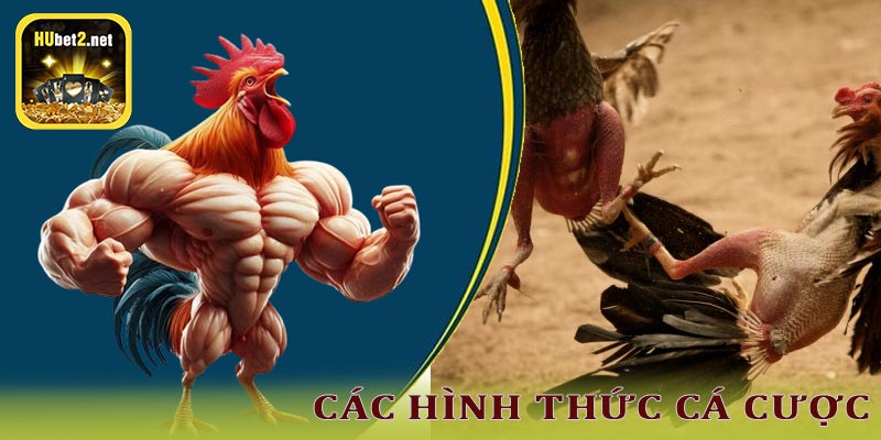 Hình thức cá cược tại Đá gà Hubet